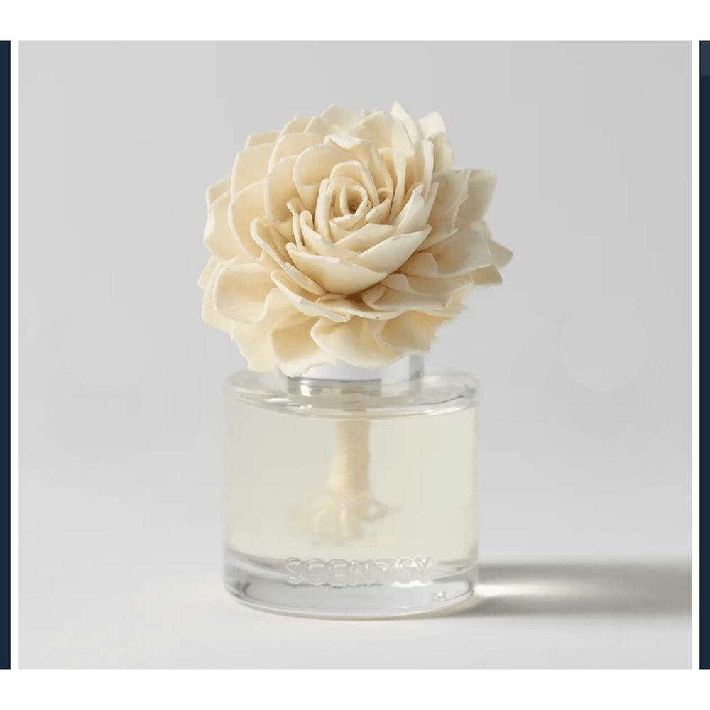 2- New In Box Scentsy Fragrance Flower Vanilla Bean buttercream & Amazon Rain - Picture 3 of 5